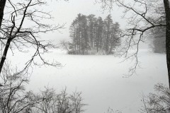snow-damon3