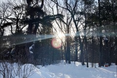 snow-dawn