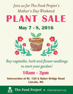 Lincoln_Plant_Sale