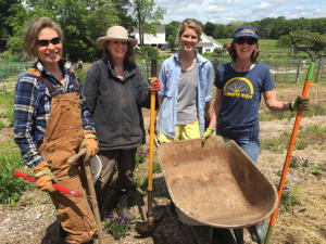 gardeners