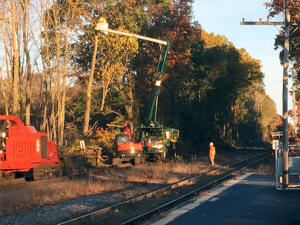 tree-clearing