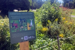 sign4