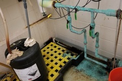 WTP5